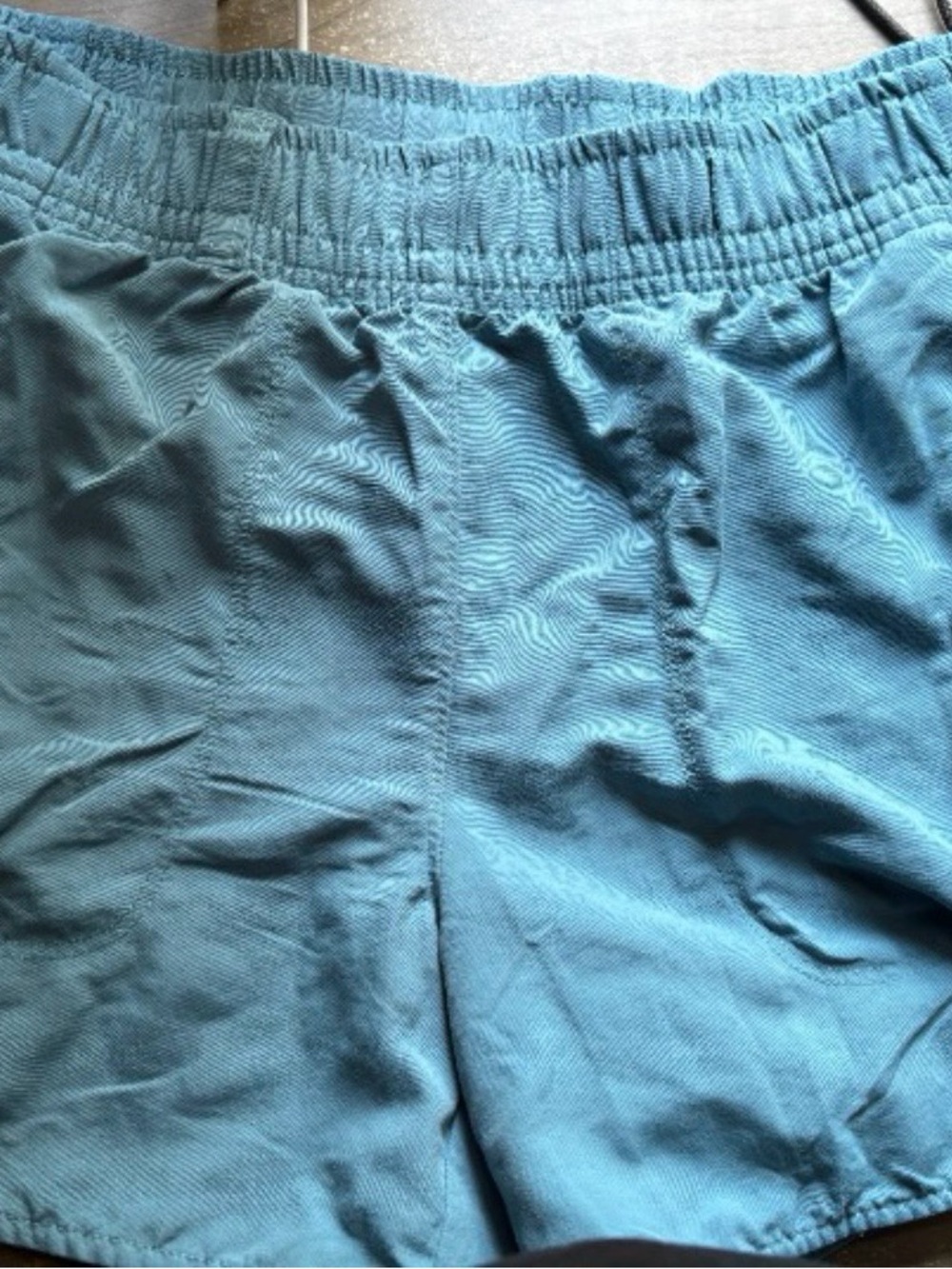 The North Face Teal Outdoor Shorts with Logo